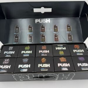 Push 2G Disposable With Screen