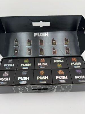 Push 2G Disposable With Screen