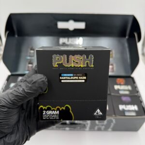 Push 2G Disposable With Screen