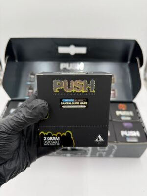 Push 2G Disposable With Screen