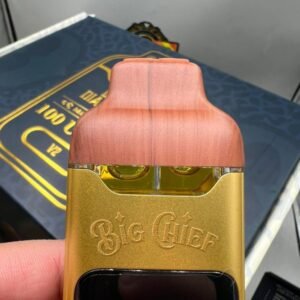 Big Chief Duo V2 2G Disposable