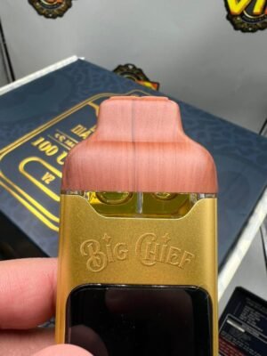 Big Chief Duo V2 2G Disposable