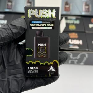 Push 2G Disposable With Screen