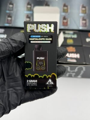 Push 2G Disposable With Screen