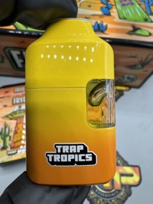 Fryd 3G Disposable With Gummy